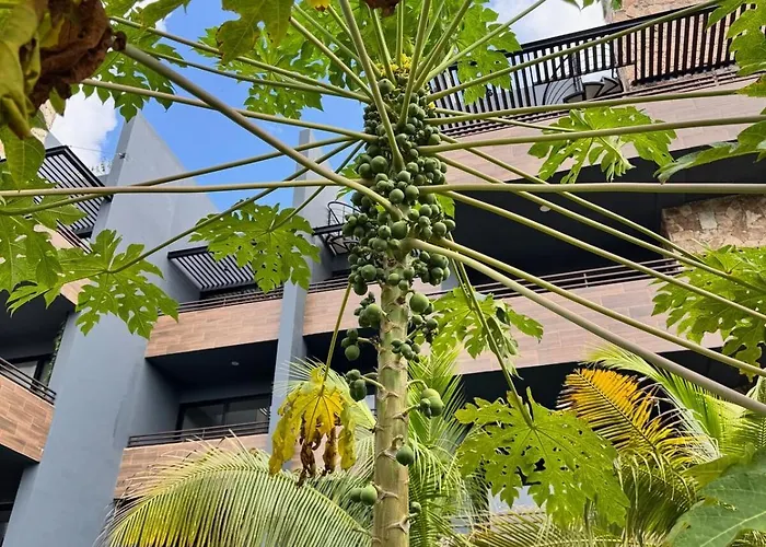 2 Bed Penthouse Private Rooftop